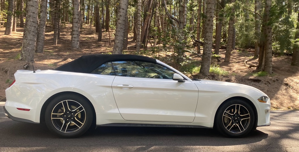 Photo 12 of this FORD MUSTANG