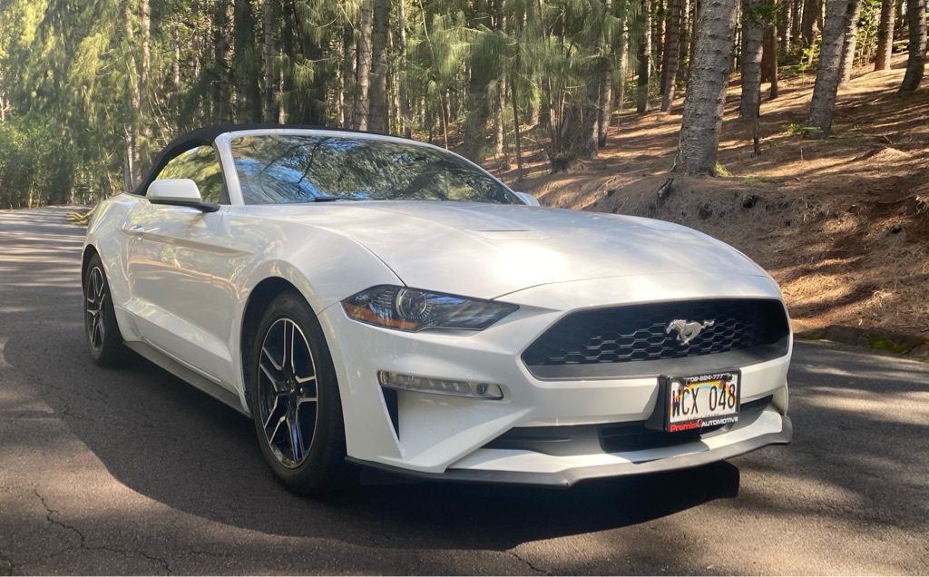 Photo 10 of this FORD MUSTANG
