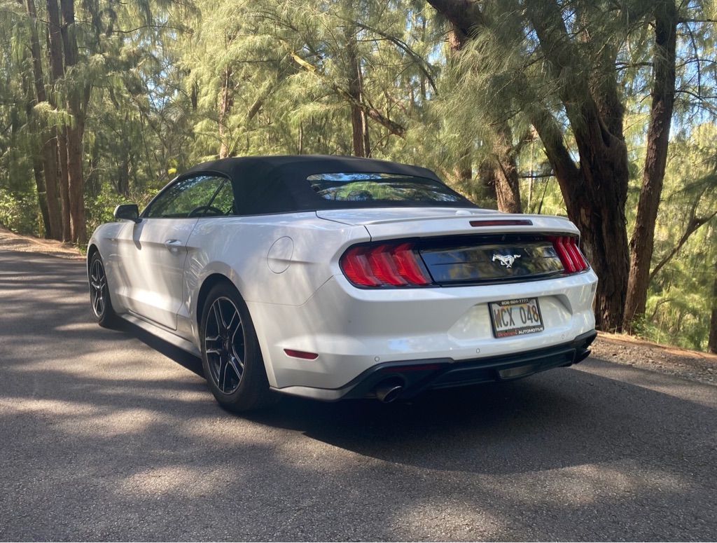 Photo 4 of this FORD MUSTANG