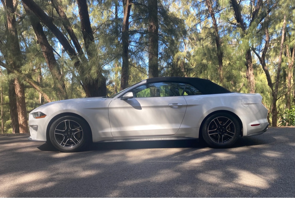 Photo 6 of this FORD MUSTANG