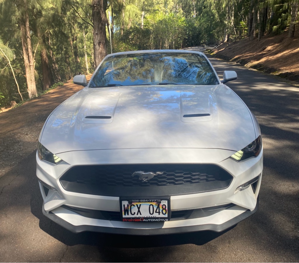 Photo 13 of this FORD MUSTANG