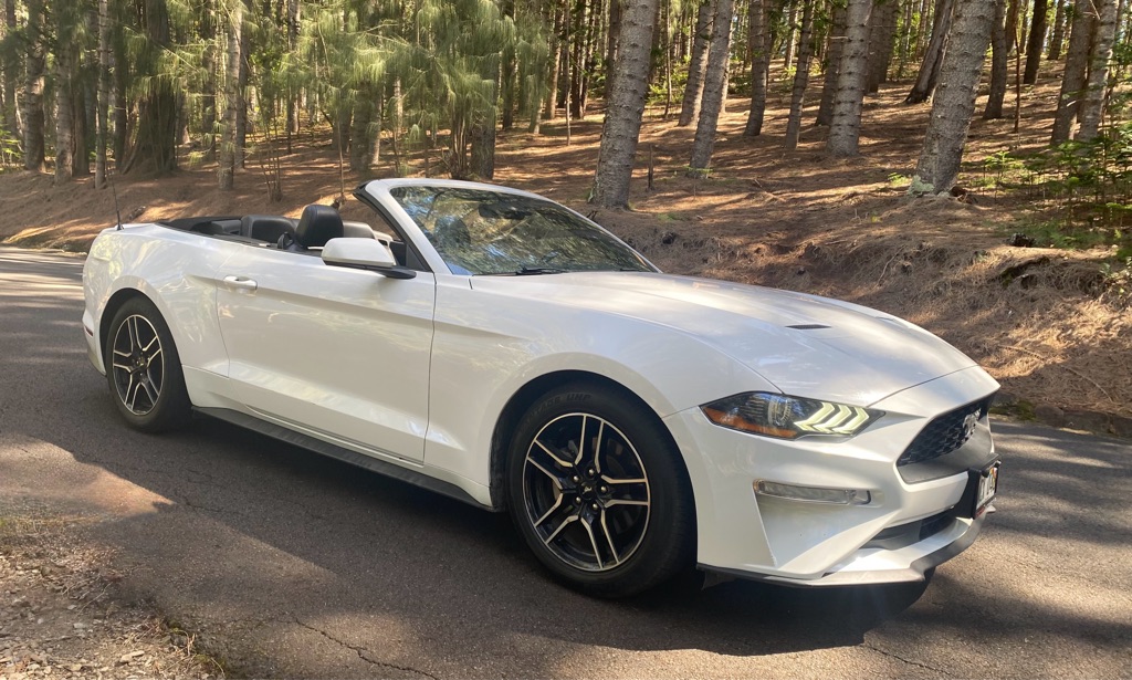 Photo 16 of this FORD MUSTANG