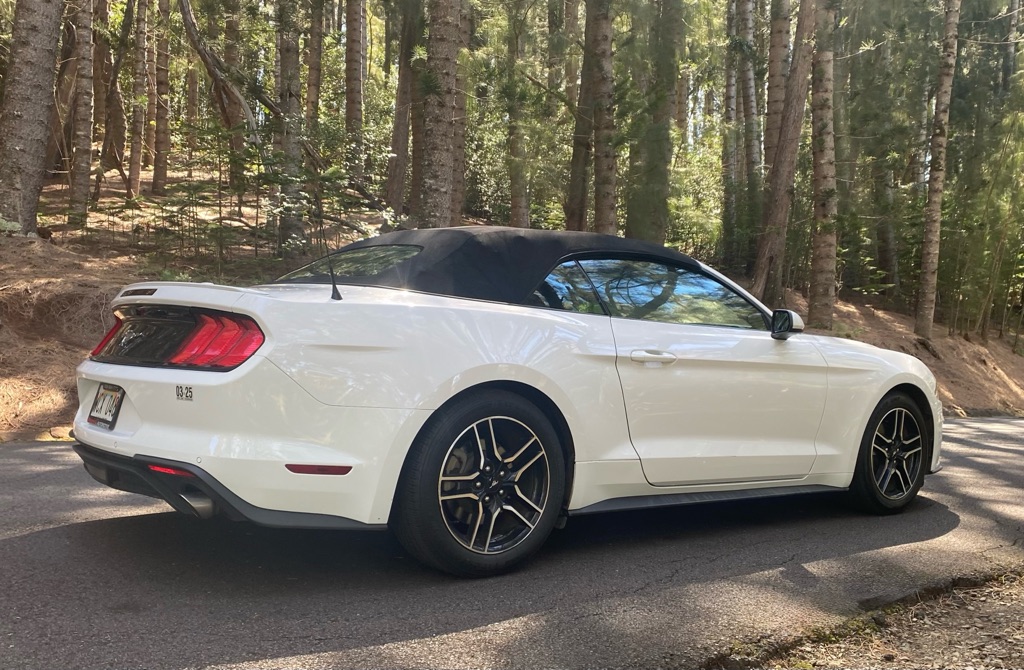 Photo 7 of this FORD MUSTANG