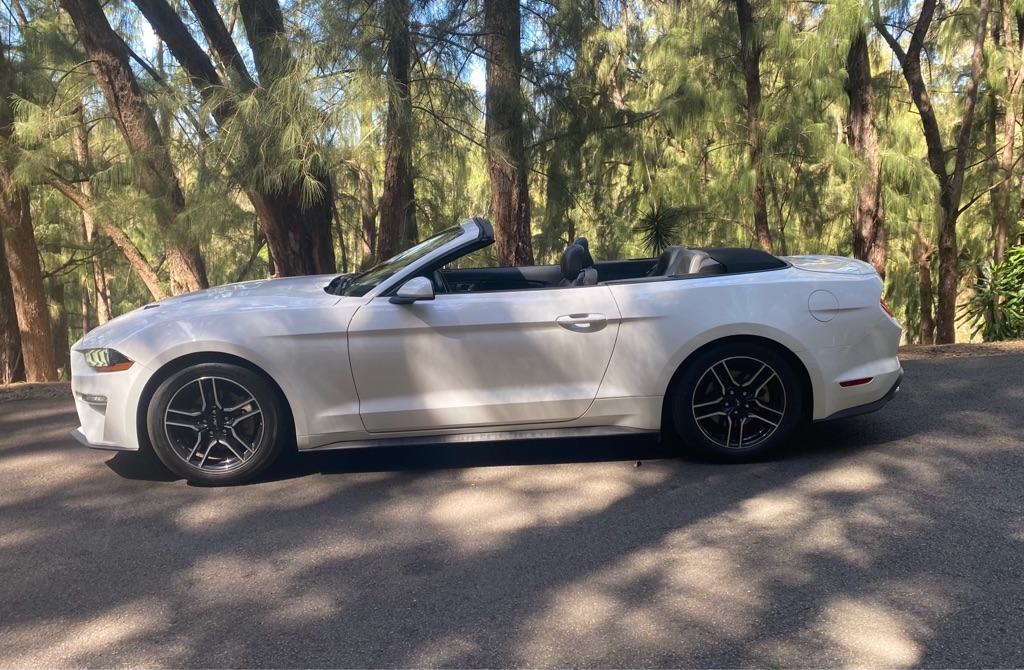 Photo 15 of this FORD MUSTANG