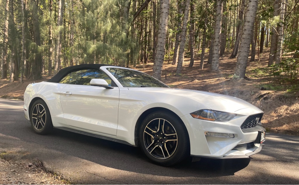 Photo 11 of this FORD MUSTANG