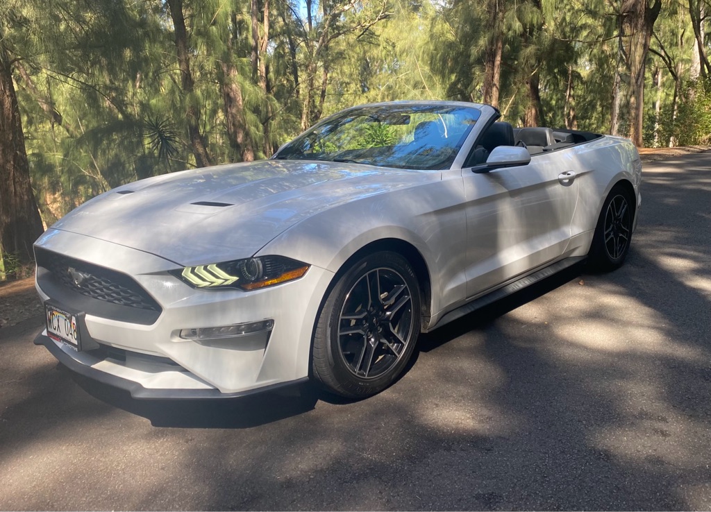 Photo 14 of this FORD MUSTANG