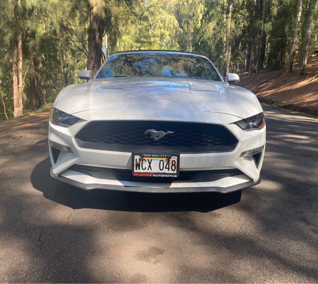 Photo 3 of this FORD MUSTANG
