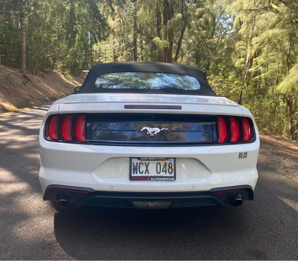 Photo 9 of this FORD MUSTANG