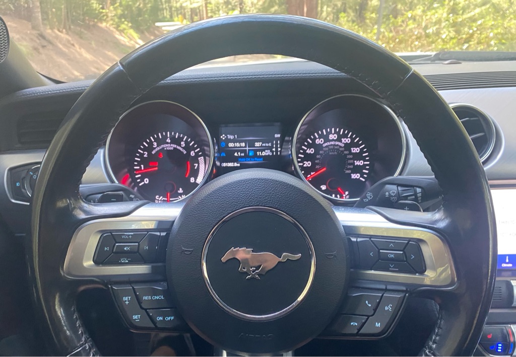 Photo 17 of this FORD MUSTANG