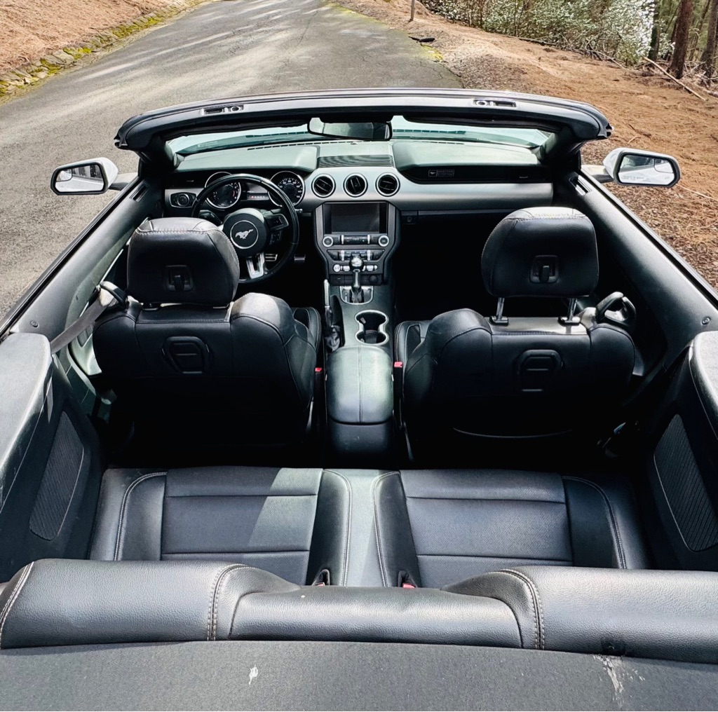 Photo 14 of this FORD MUSTANG