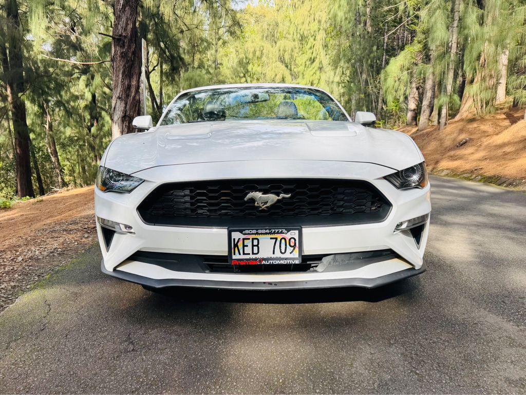 Photo 12 of this FORD MUSTANG