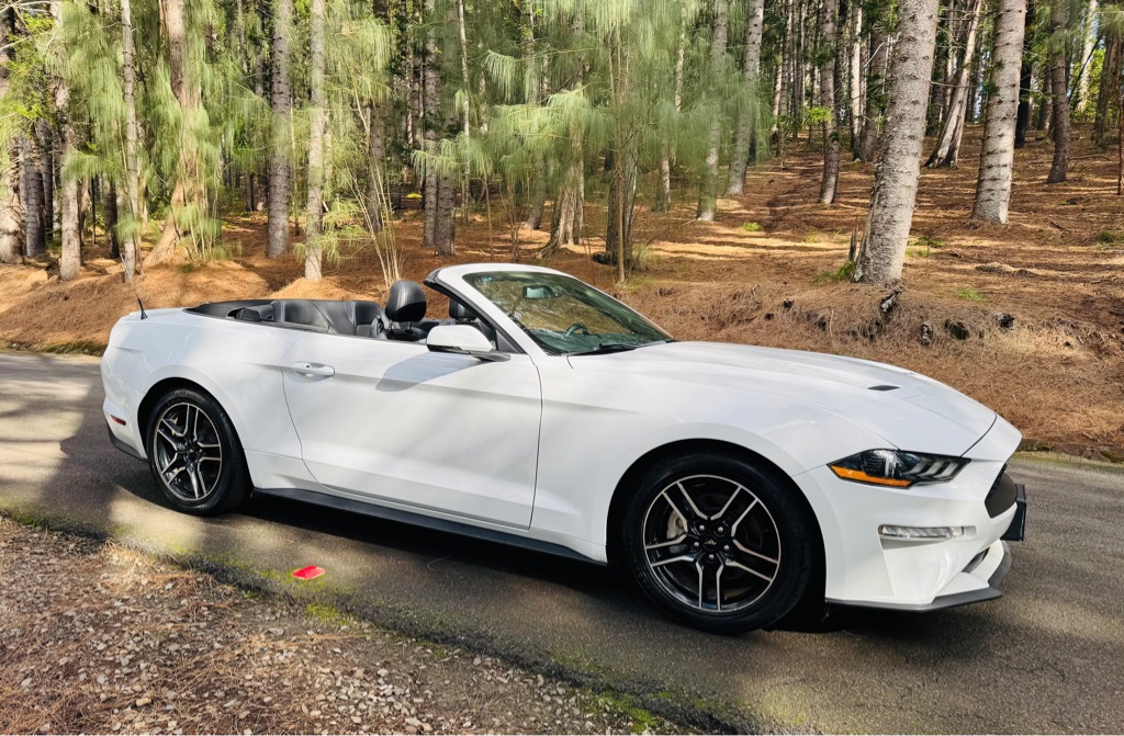 Photo 8 of this FORD MUSTANG