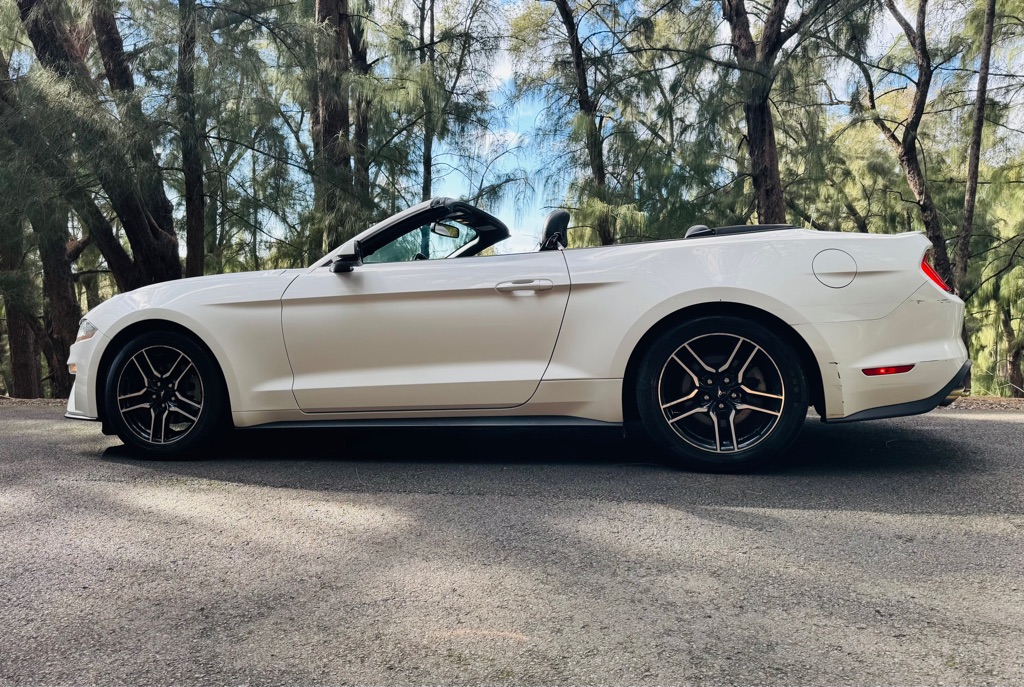 Photo 5 of this FORD MUSTANG