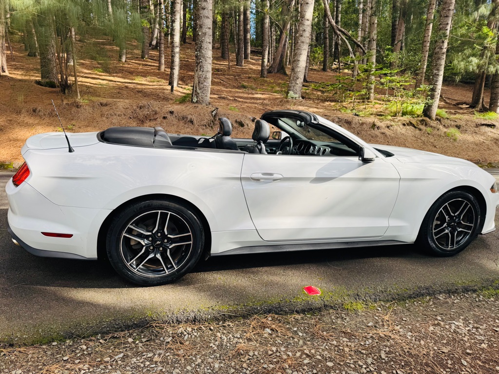 Photo 13 of this FORD MUSTANG