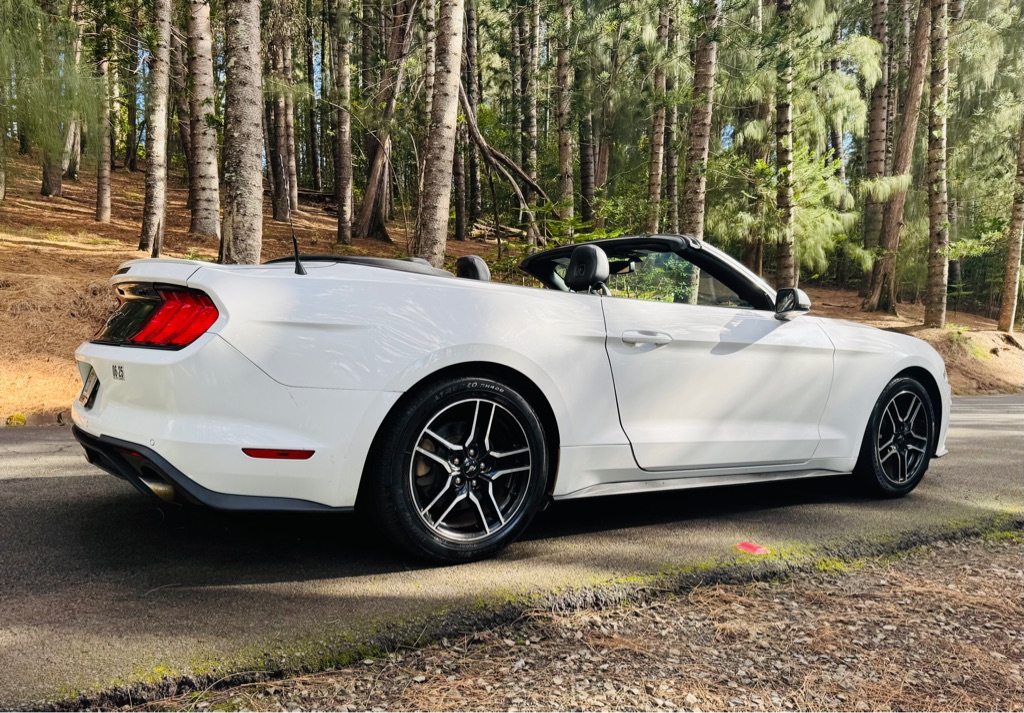 Photo 9 of this FORD MUSTANG