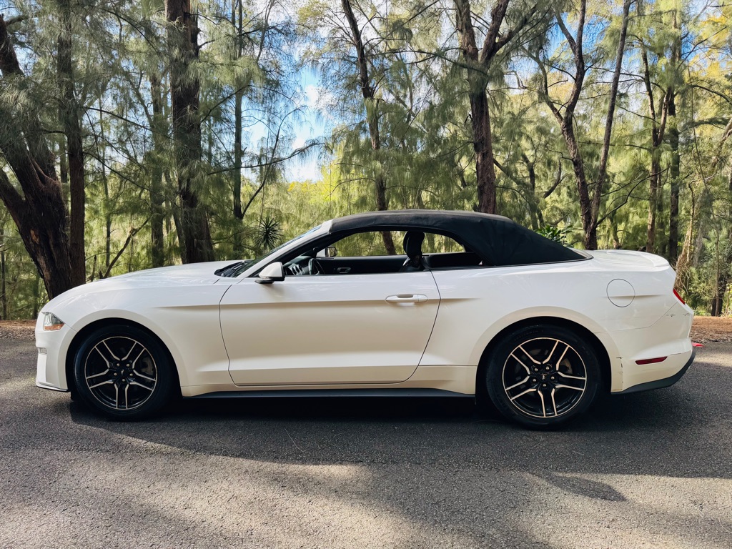 Photo 6 of this FORD MUSTANG