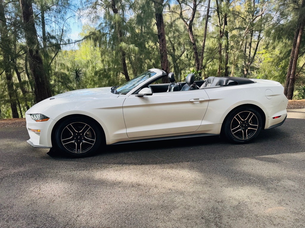 Photo 4 of this FORD MUSTANG