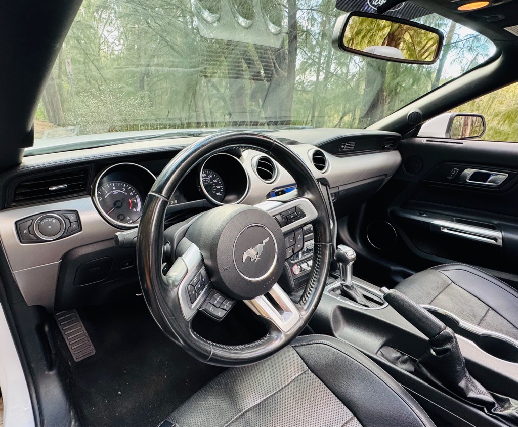 Photo 16 of this FORD MUSTANG