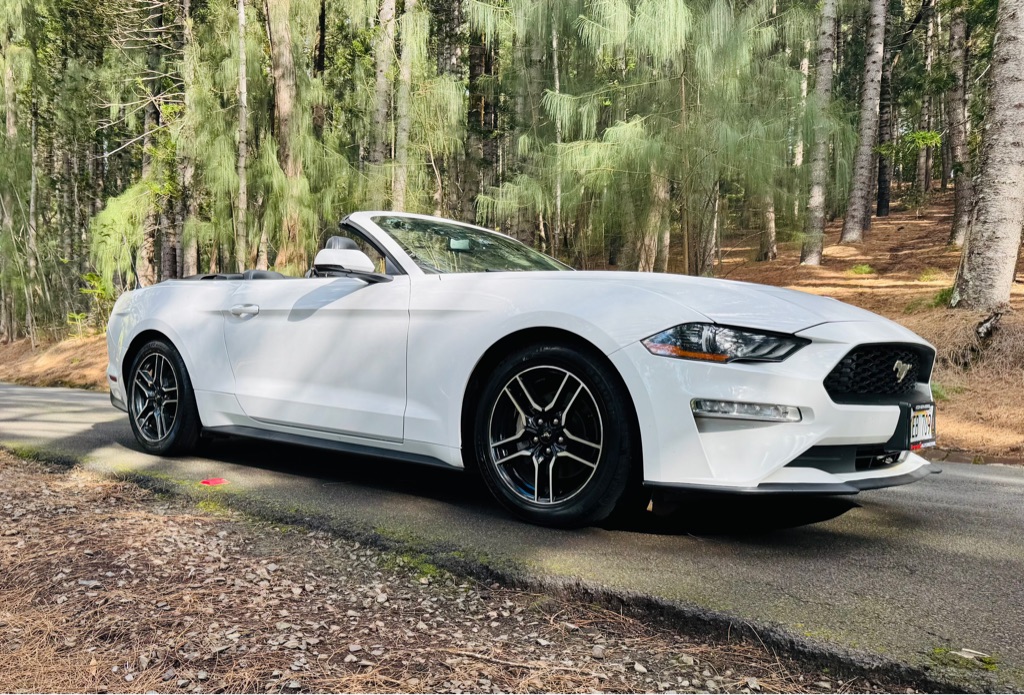 Photo 11 of this FORD MUSTANG