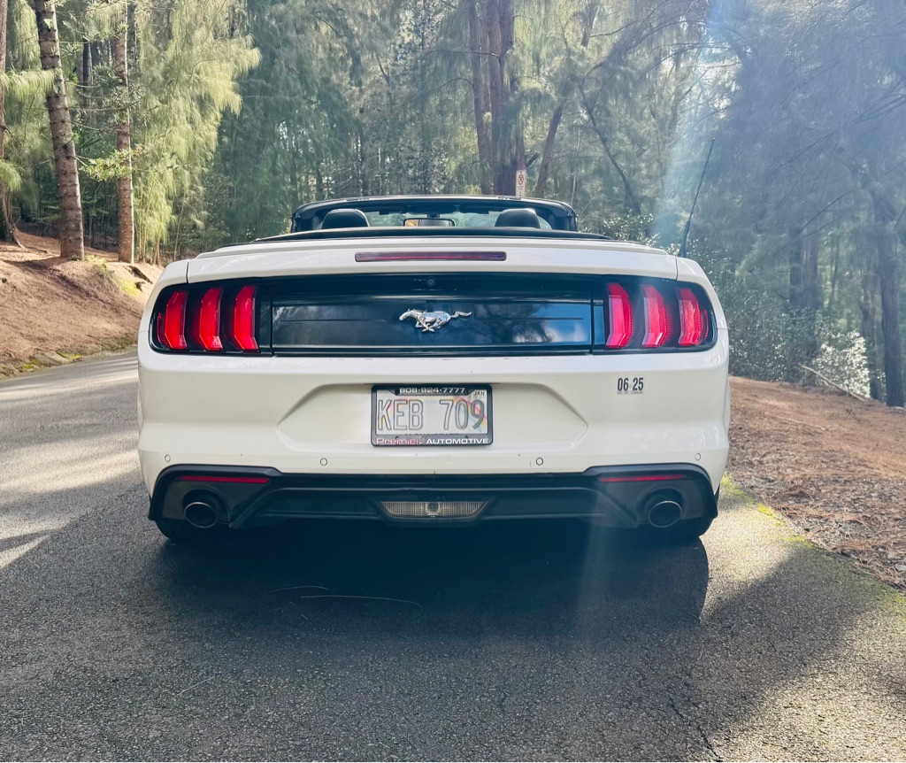 Photo 10 of this FORD MUSTANG