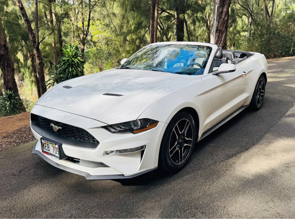 Photo 2 of this FORD MUSTANG