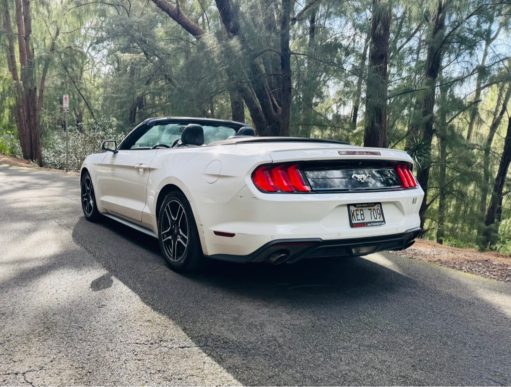 Photo 7 of this FORD MUSTANG