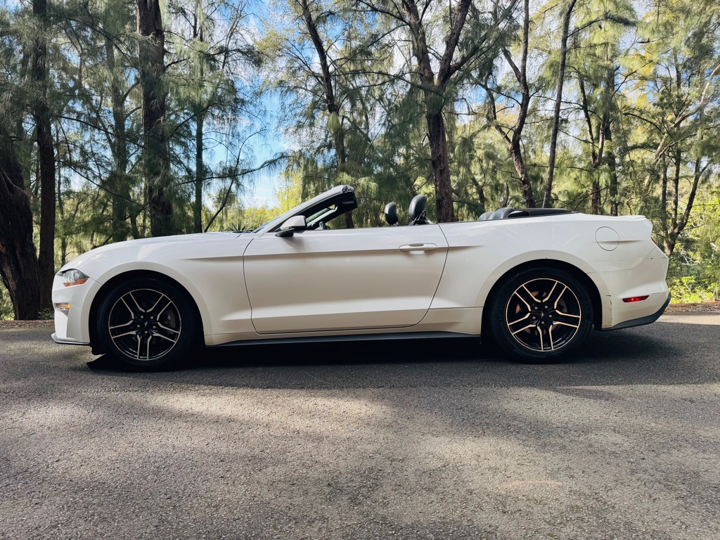 Photo 3 of this FORD MUSTANG