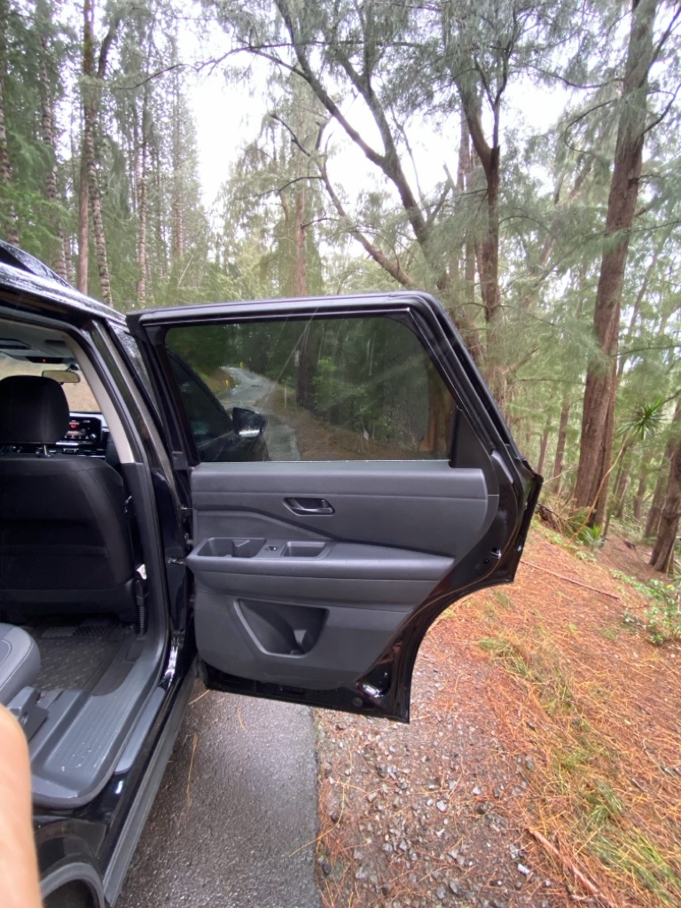 Photo 20 of this NISSAN PATHFINDER