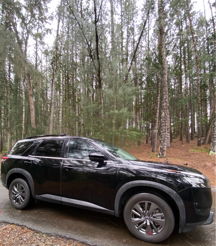 Photo 8 of this NISSAN PATHFINDER