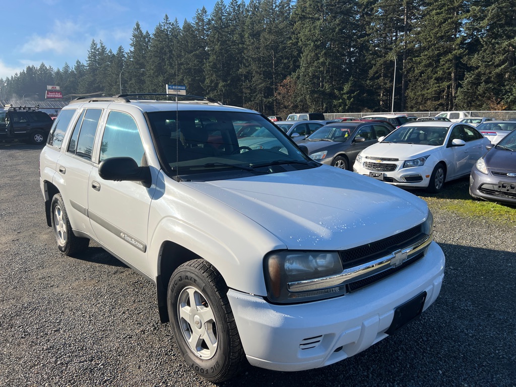 CHEVROLET TRAILBLAZER 2003 CHEVROLET TRAILBLAZER 1GNDT13S632180449