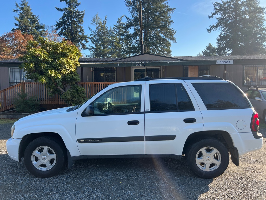 CHEVROLET TRAILBLAZER 2003 CHEVROLET TRAILBLAZER 1GNDT13S632180449