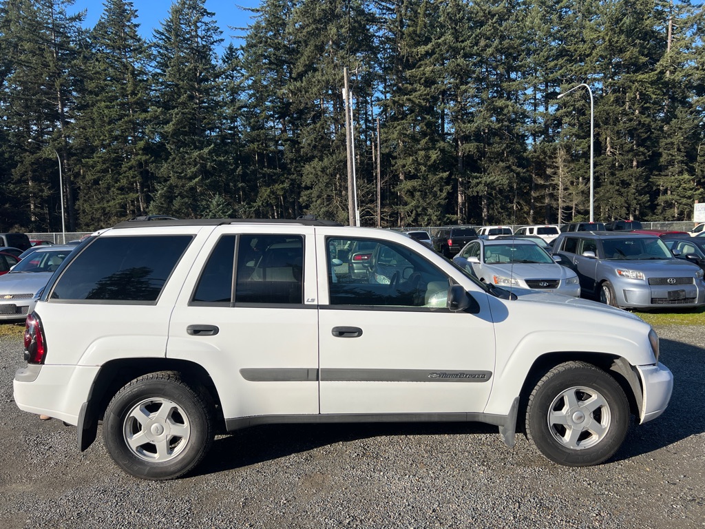 CHEVROLET TRAILBLAZER 2003 CHEVROLET TRAILBLAZER 1GNDT13S632180449