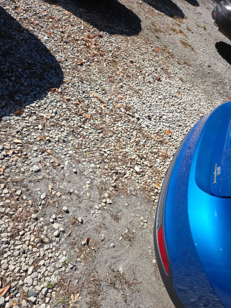 Photo 5 of this FORD FOCUS