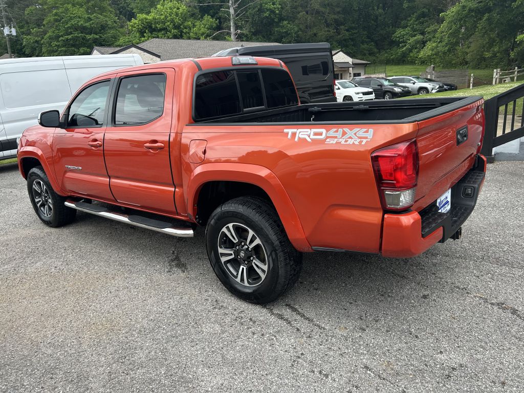 Photo 7 of this TOYOTA TACOMA