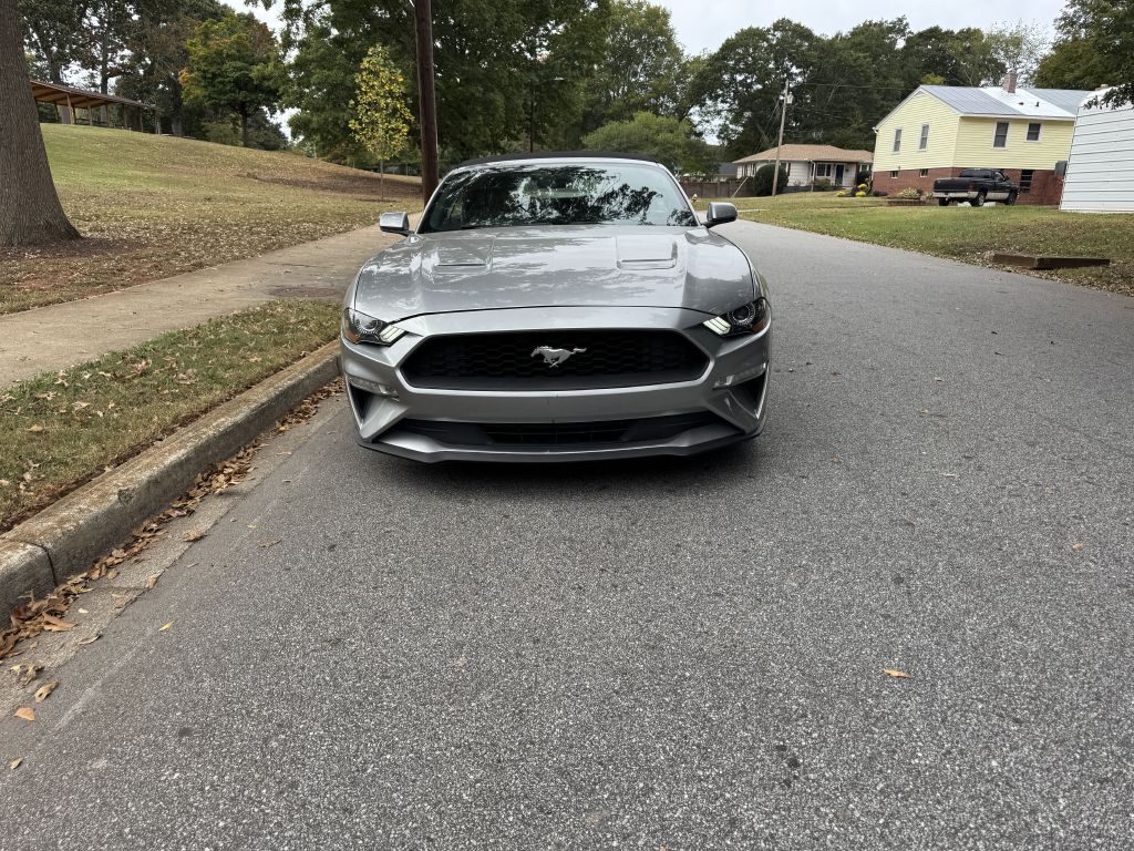 Photo 8 of this FORD MUSTANG