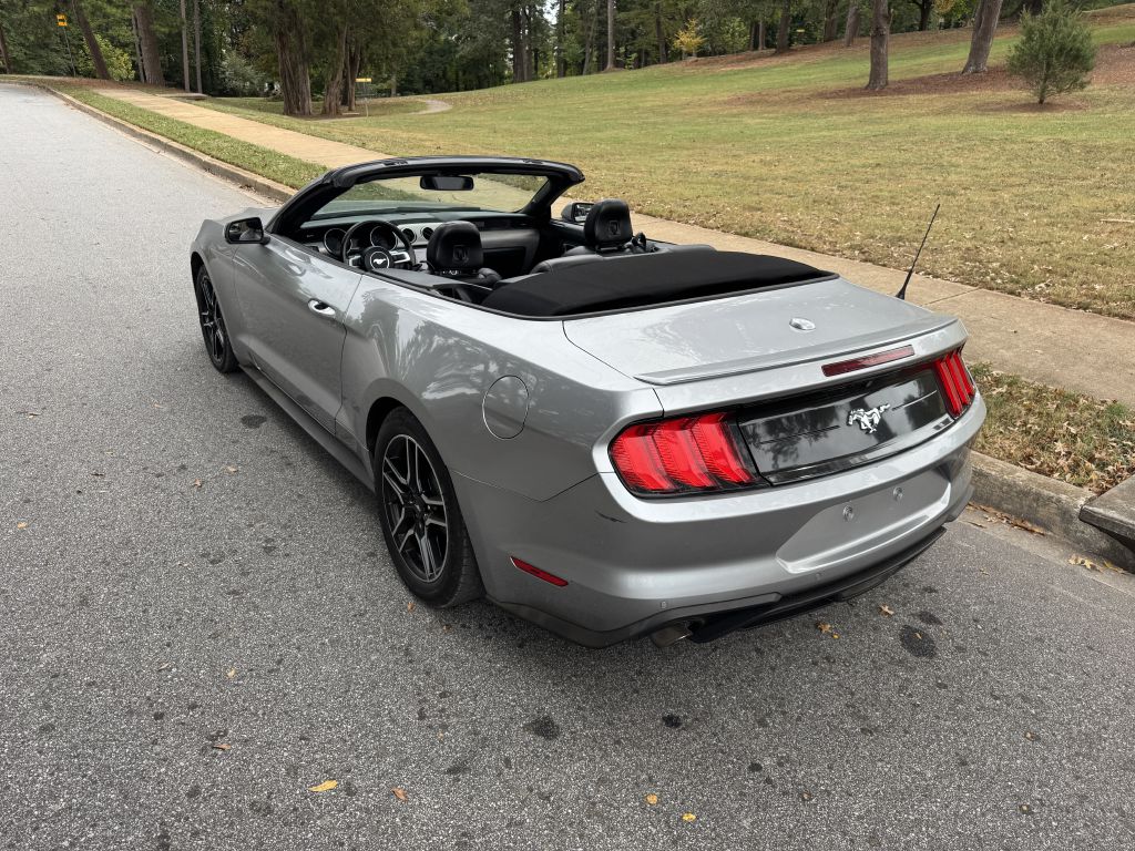 Photo 14 of this FORD MUSTANG