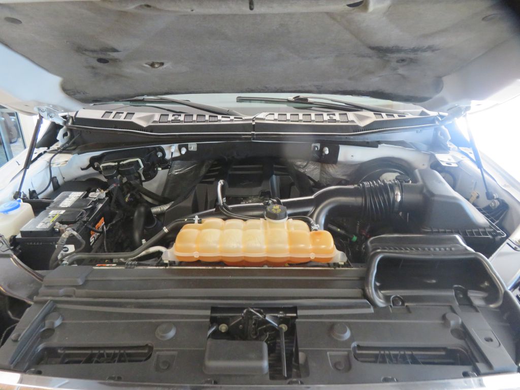 Photo 56 of this FORD F150