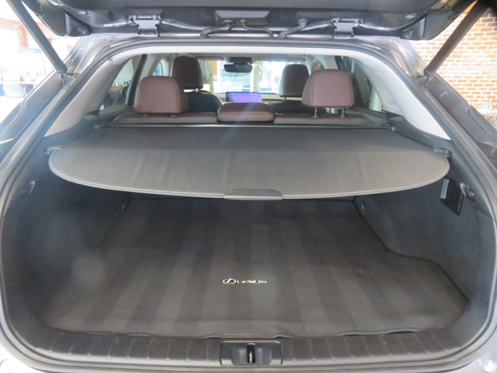 Photo 51 of this LEXUS RX