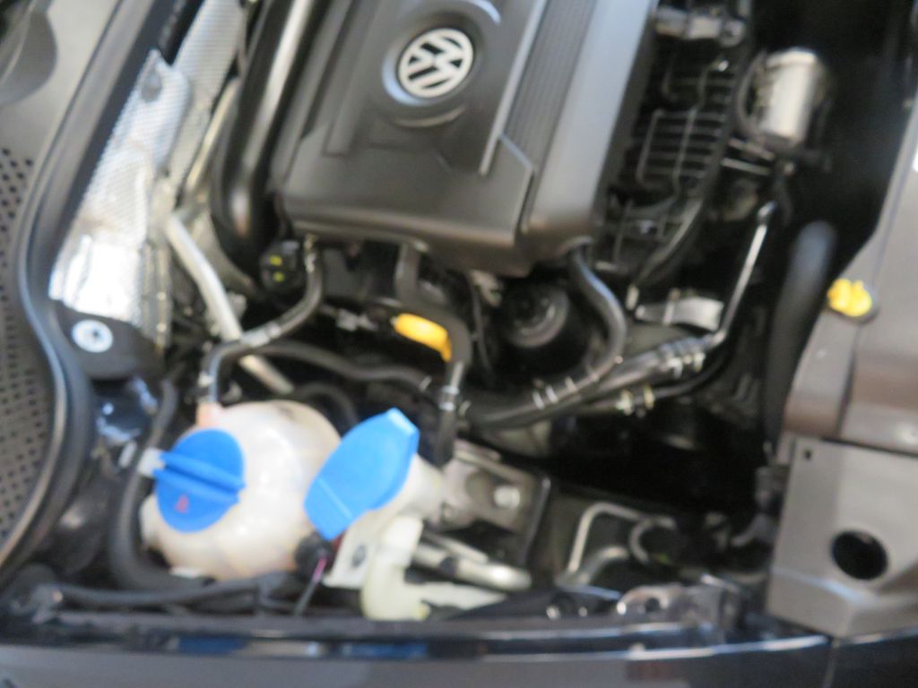 Photo 46 of this VOLKSWAGEN BEETLE