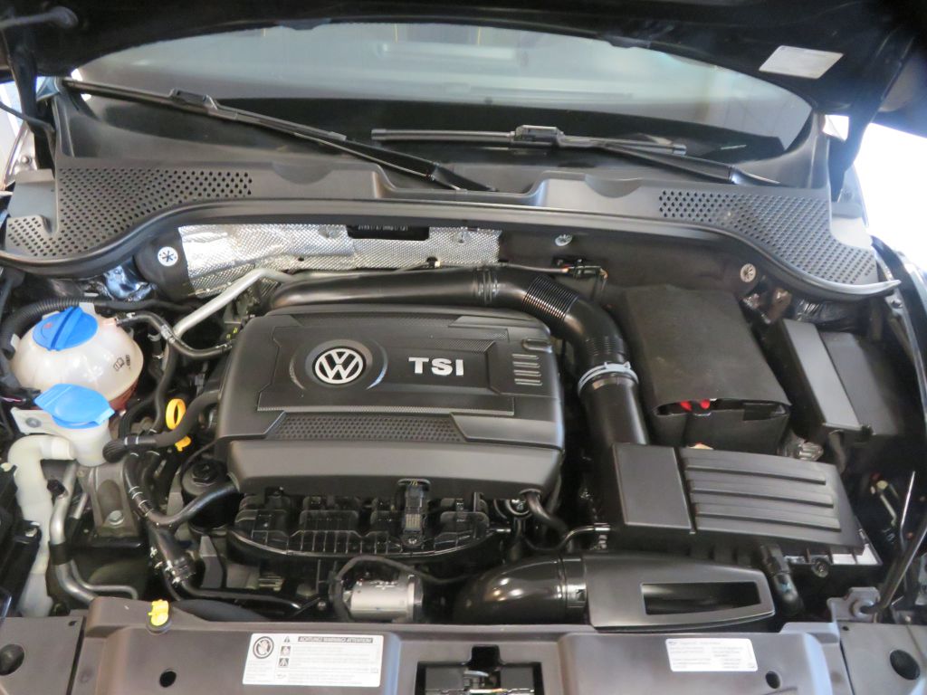Photo 47 of this VOLKSWAGEN BEETLE