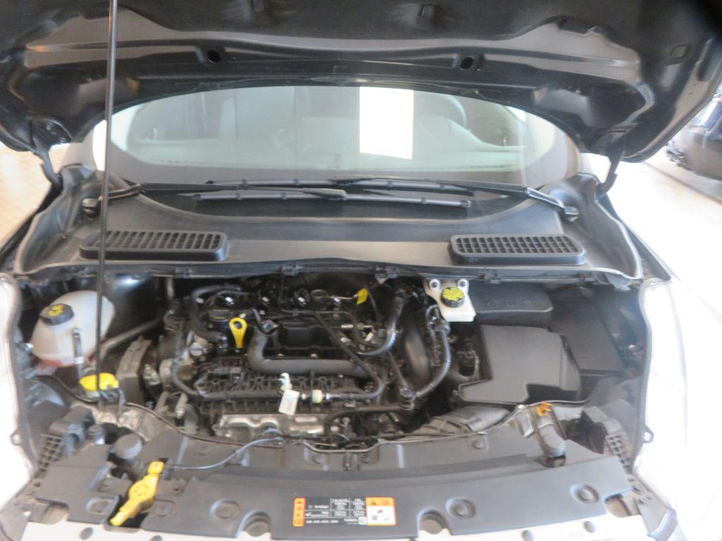 Photo 50 of this FORD ESCAPE