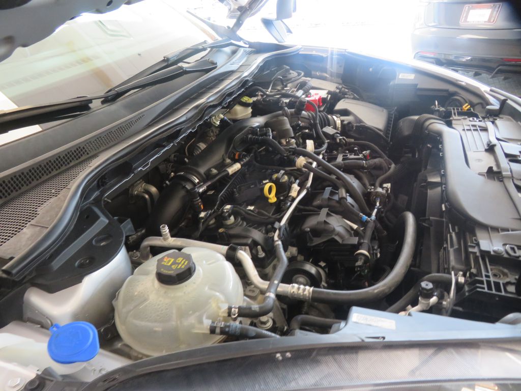 Photo 52 of this FORD ESCAPE