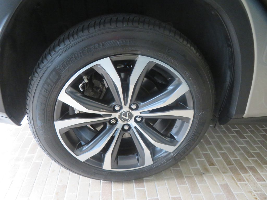 Photo 9 of this LEXUS RX L