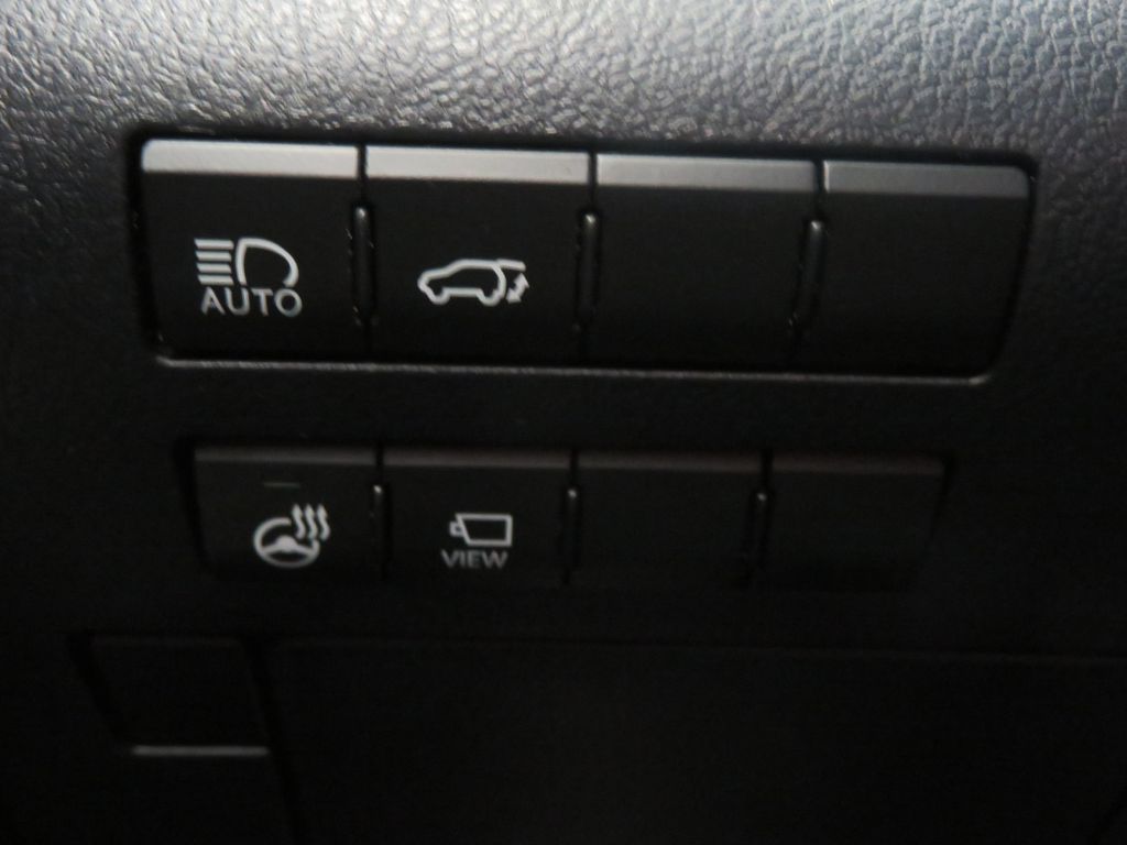 Photo 35 of this LEXUS RX L