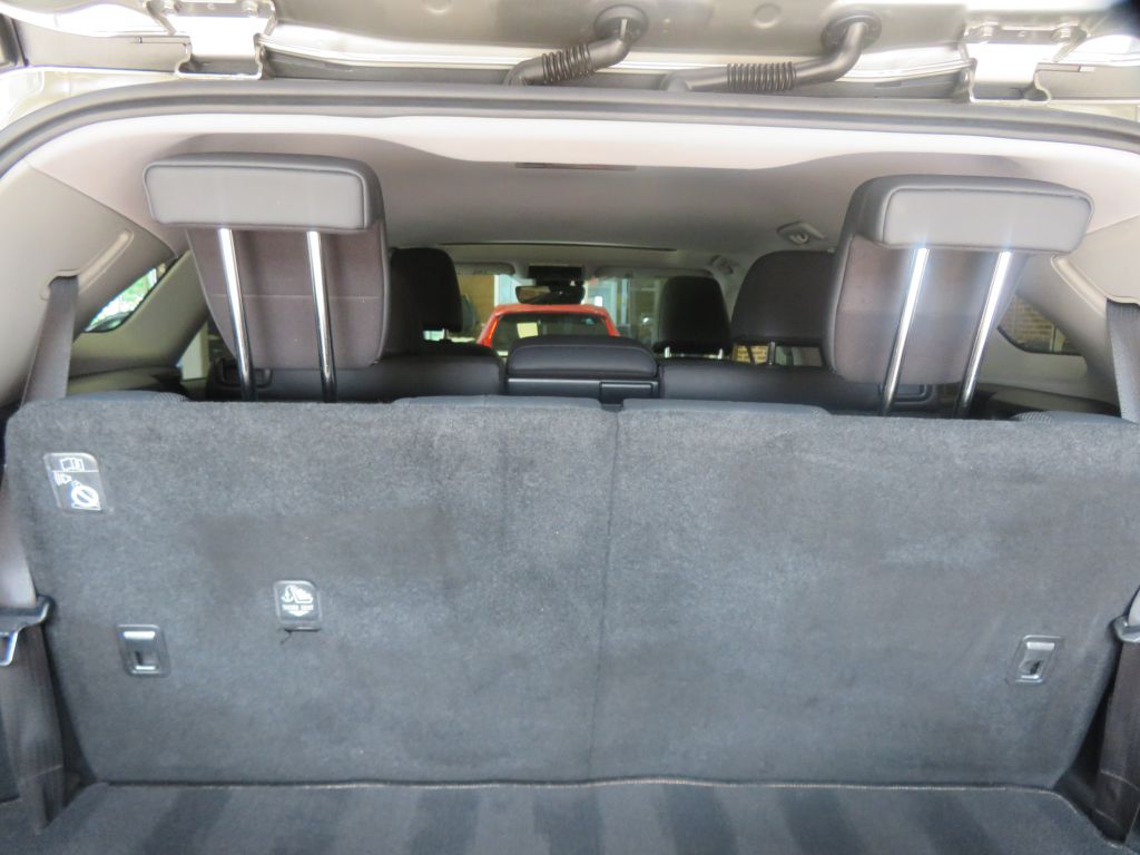 Photo 55 of this LEXUS RX L