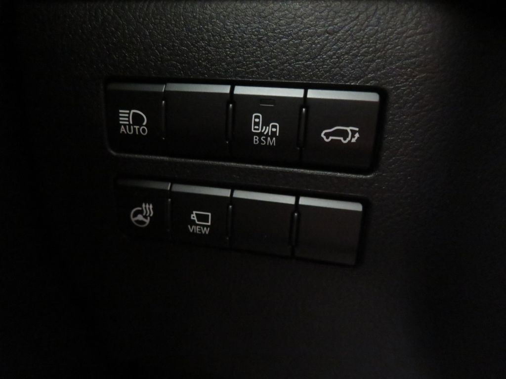Photo 36 of this LEXUS NX