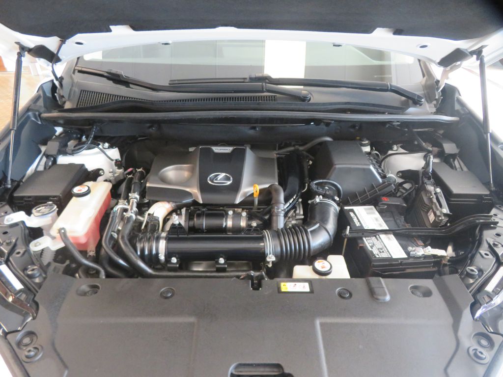 Photo 58 of this LEXUS NX