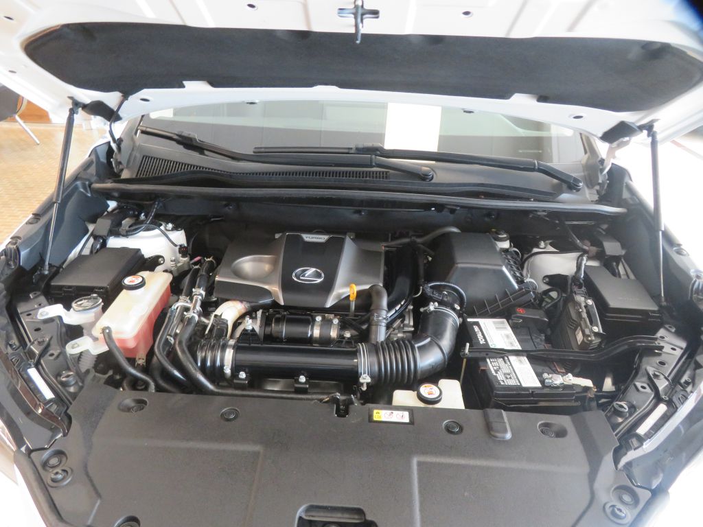 Photo 65 of this LEXUS NX