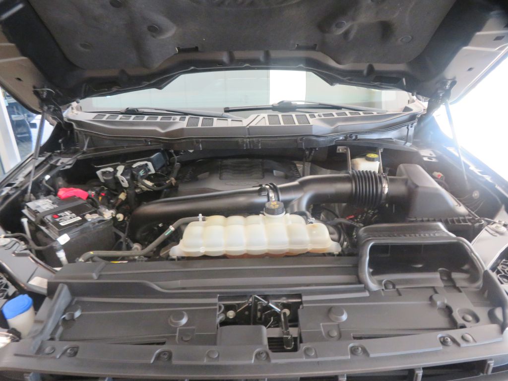 Photo 60 of this FORD F150