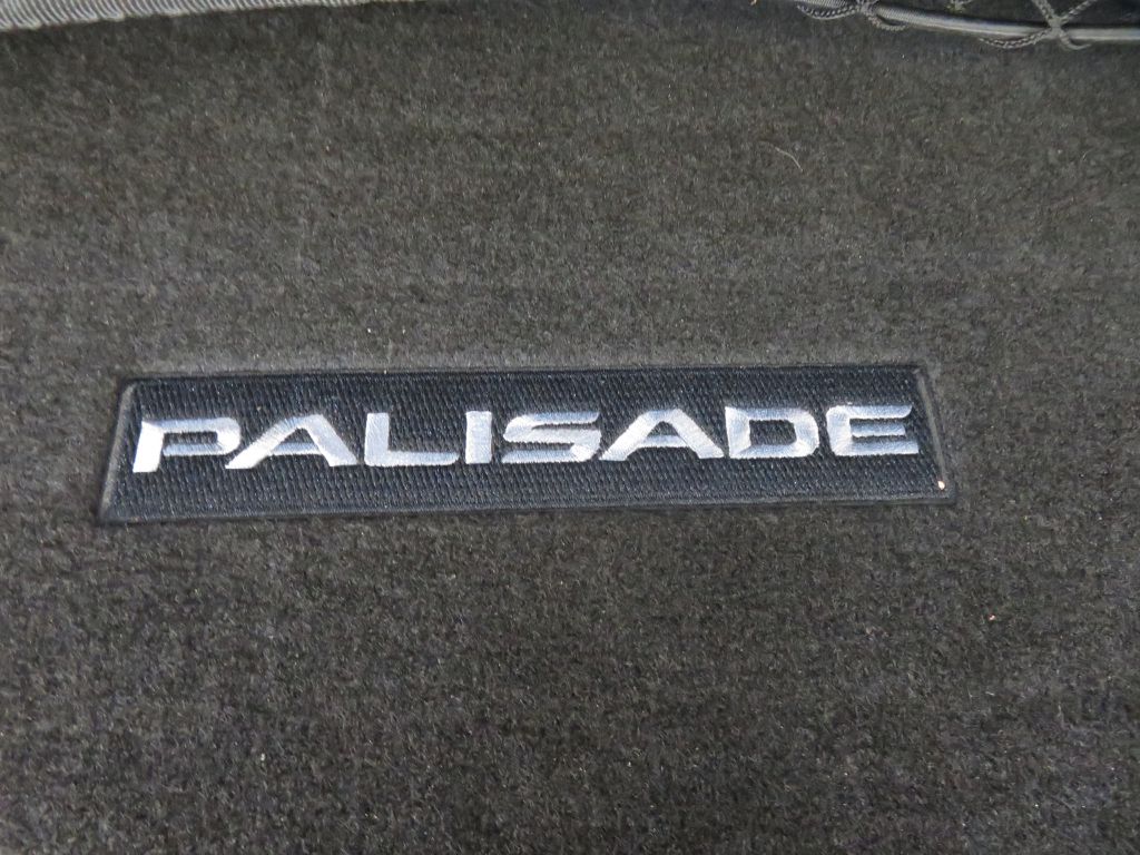 Photo 57 of this HYUNDAI PALISADE